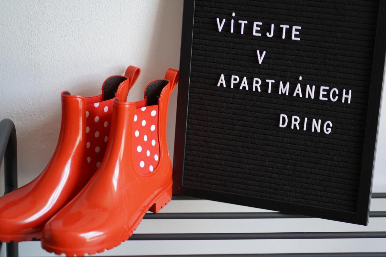 Apartmany Dring Vaclavov u Bruntalu 外观 照片